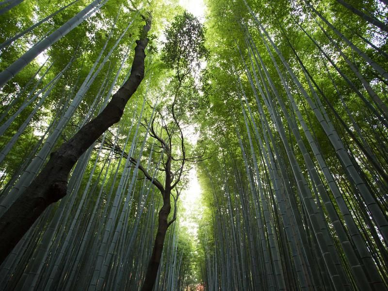 Bierproeverij met Ruben