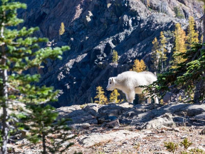 Boottochtje met Tijmen