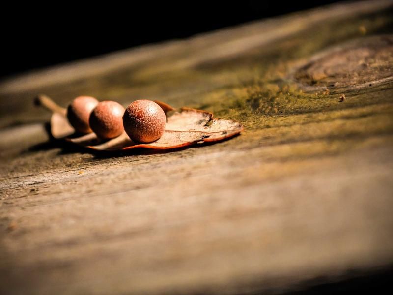 Concertbezoek met Jan