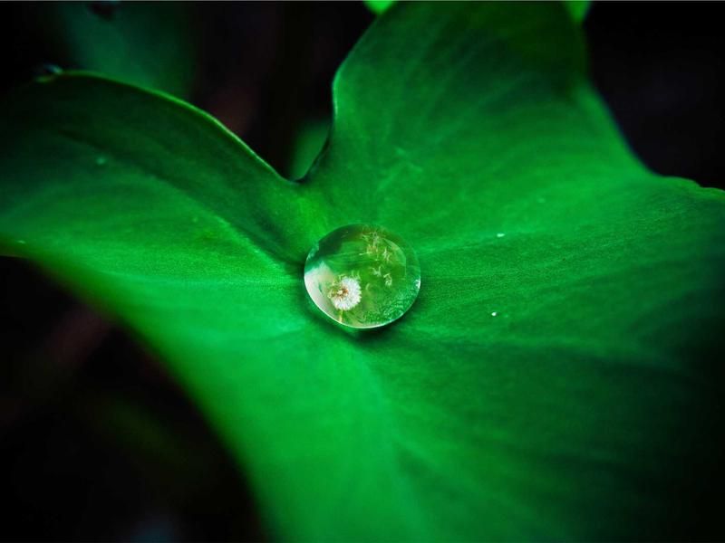 Concertbezoek met Natan