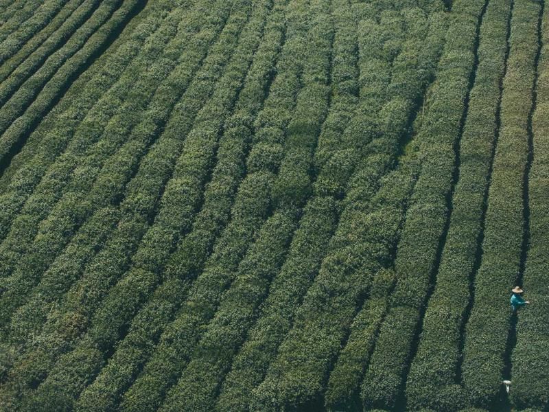 Escape room met Juliëtte