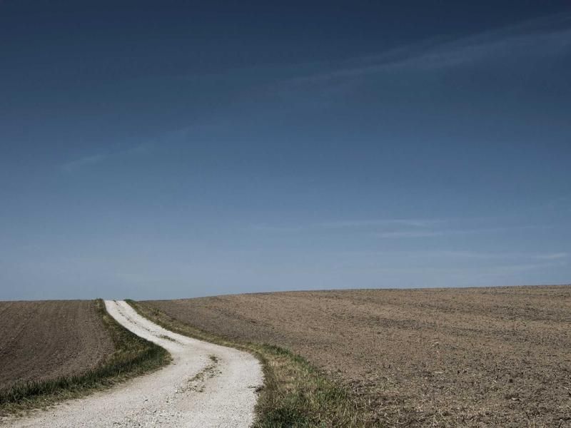 Filmavond met Feline