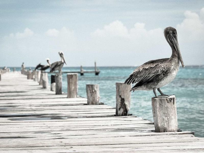 Kartrace met Florine