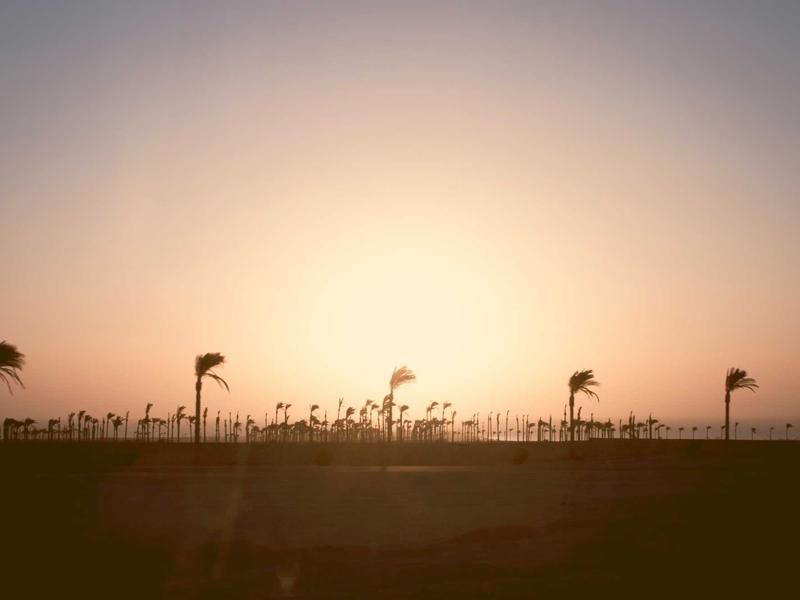 Kookworkshop met Doris