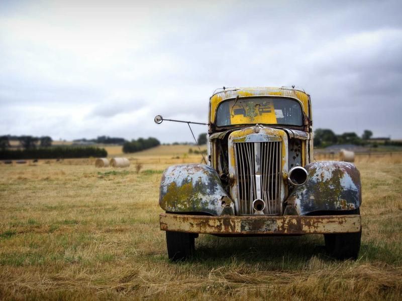 Paardrijden met Doris