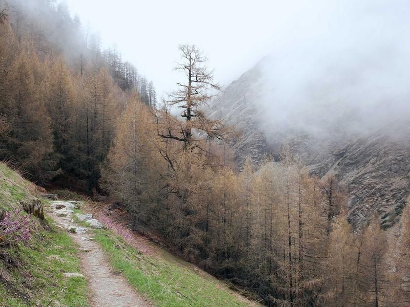 Schaatsles met Cataleya