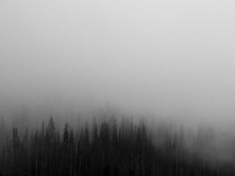 Stadstour met Finley