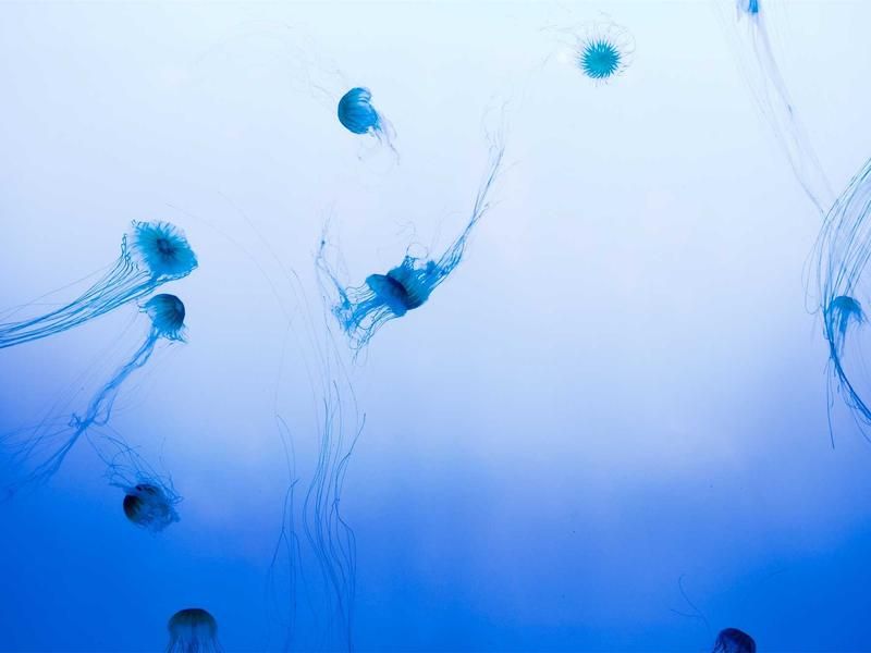 Surfles met Annemijn