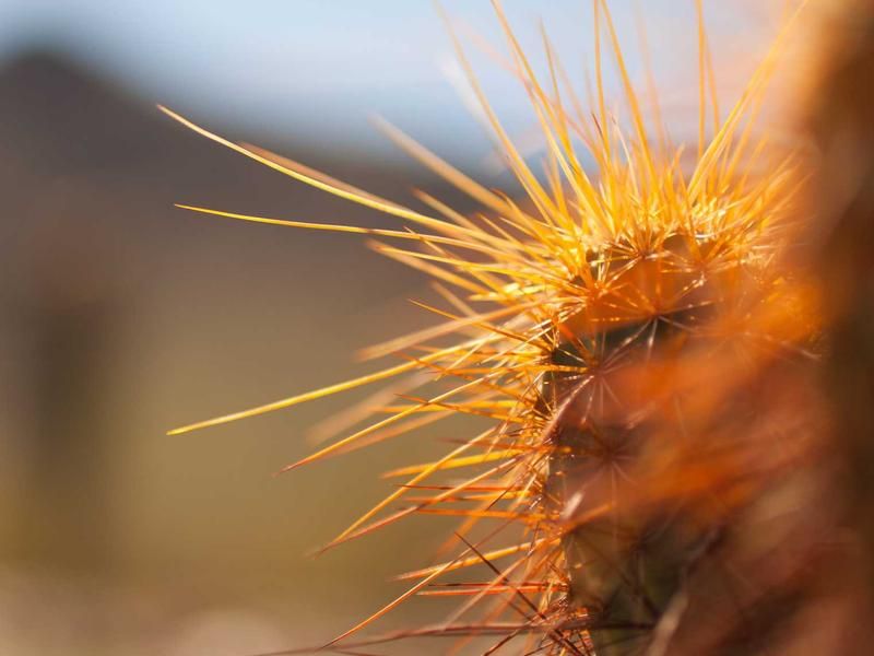 Voetbalclinic met Noa