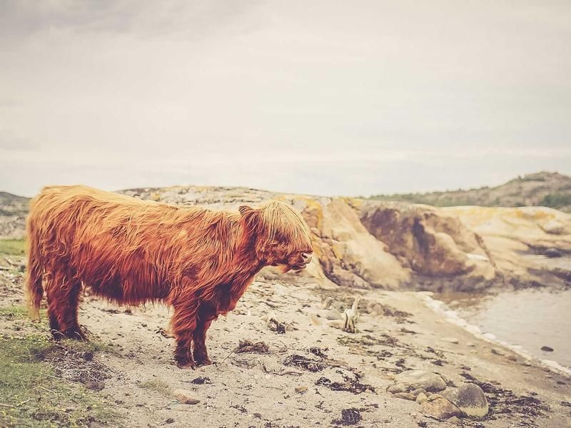 Wandeling met Fatima