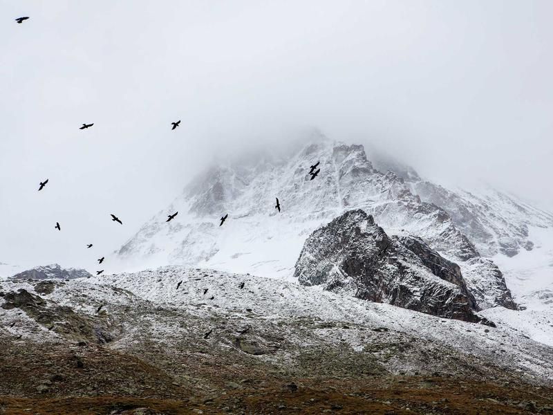Wijnproeverij met Jette