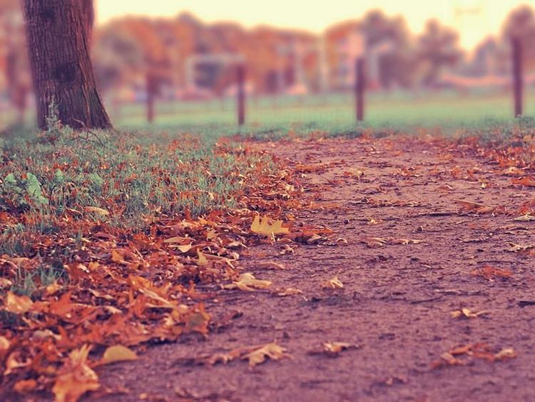 Bierproeverij met Youssef