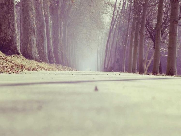 Boottochtje met Pien