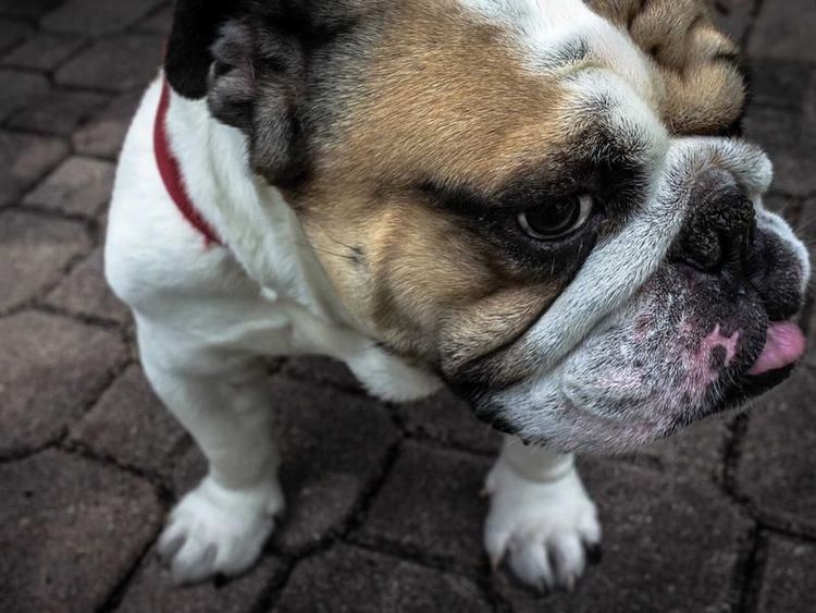 Concertbezoek met Renske