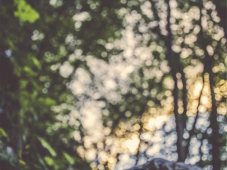 Fietstocht met Tijmen