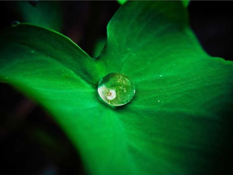 Filmavond met Tijmen