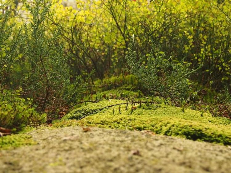 Game-avond met Sverre