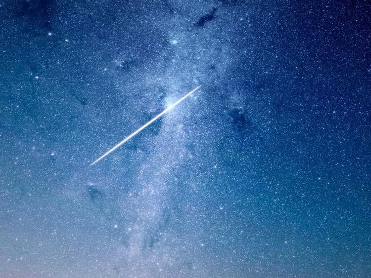 Hardloopsessie met Finley