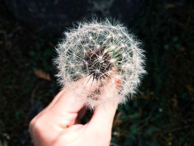 Koffiemoment met Yasmin