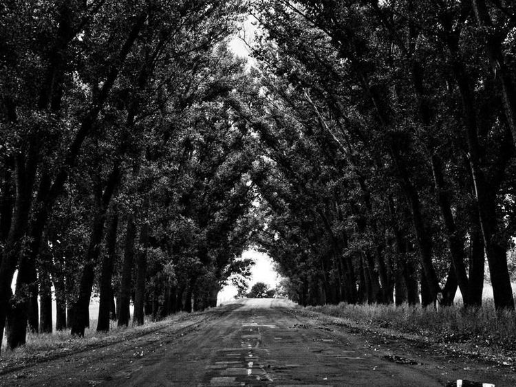 Kookworkshop met Eli