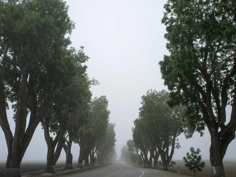 Pizzaworkshop met Abby