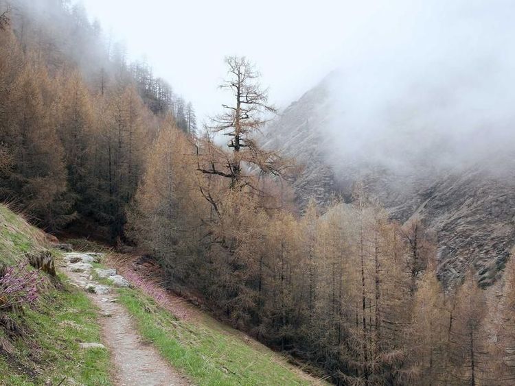 Schaatsles met Cataleya