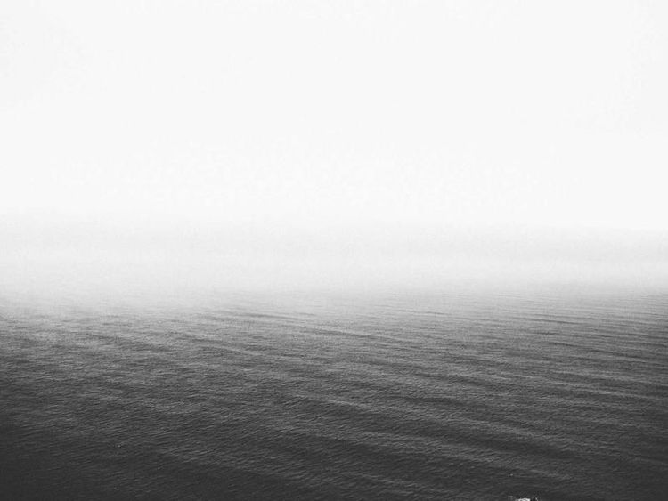 Schilderworkshop met Rose