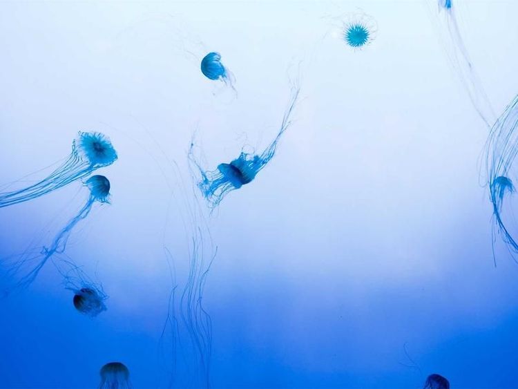 Surfles met Annemijn