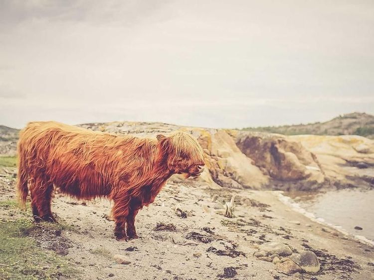 Wandeling met Fatima